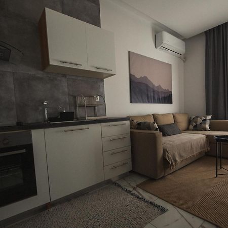 Luxury Apartment In The Center Of Ioannina City Εξωτερικό φωτογραφία